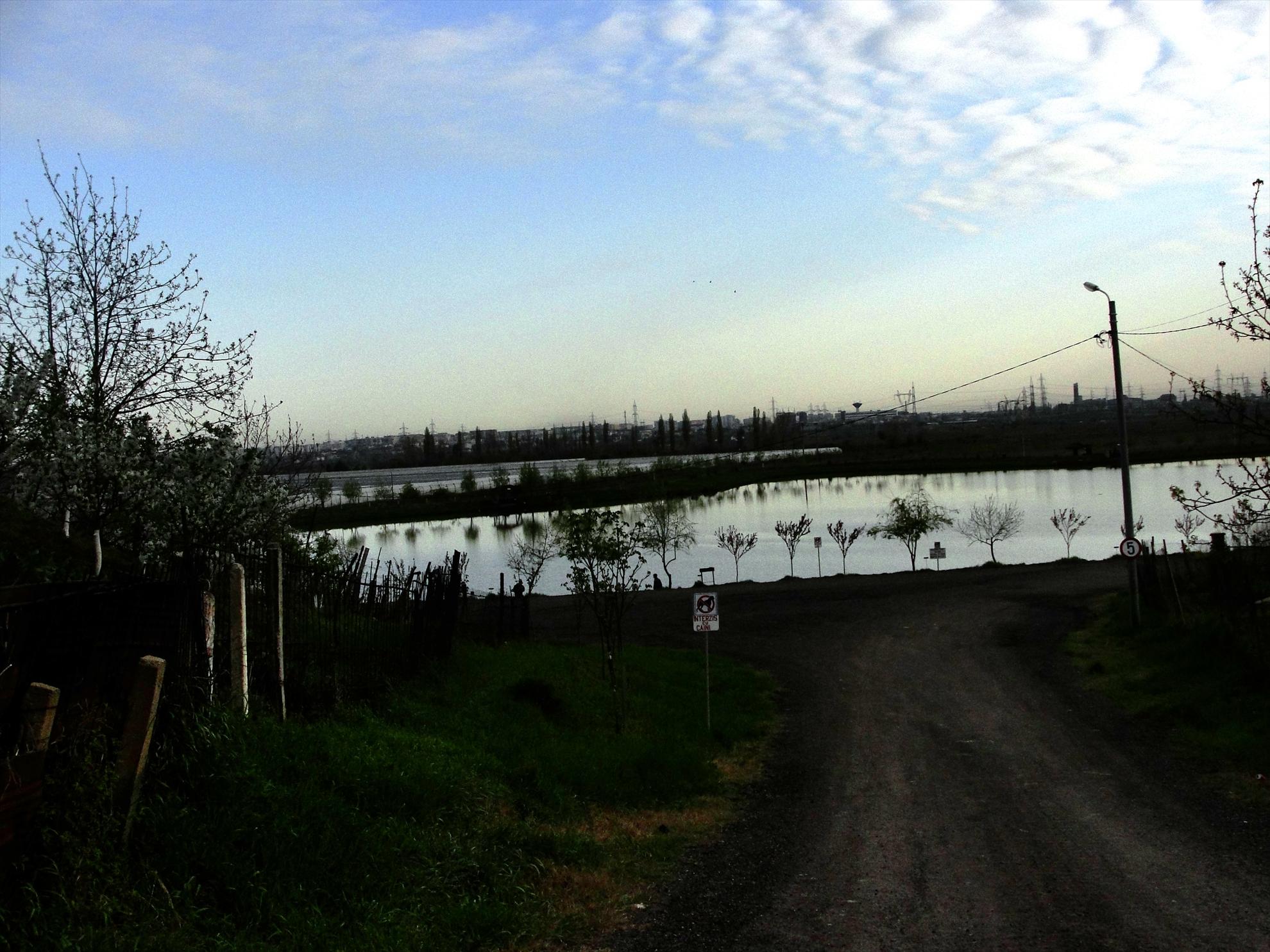 Floarea Popestiului 20 - 20 apr. - dsc09572.JPG